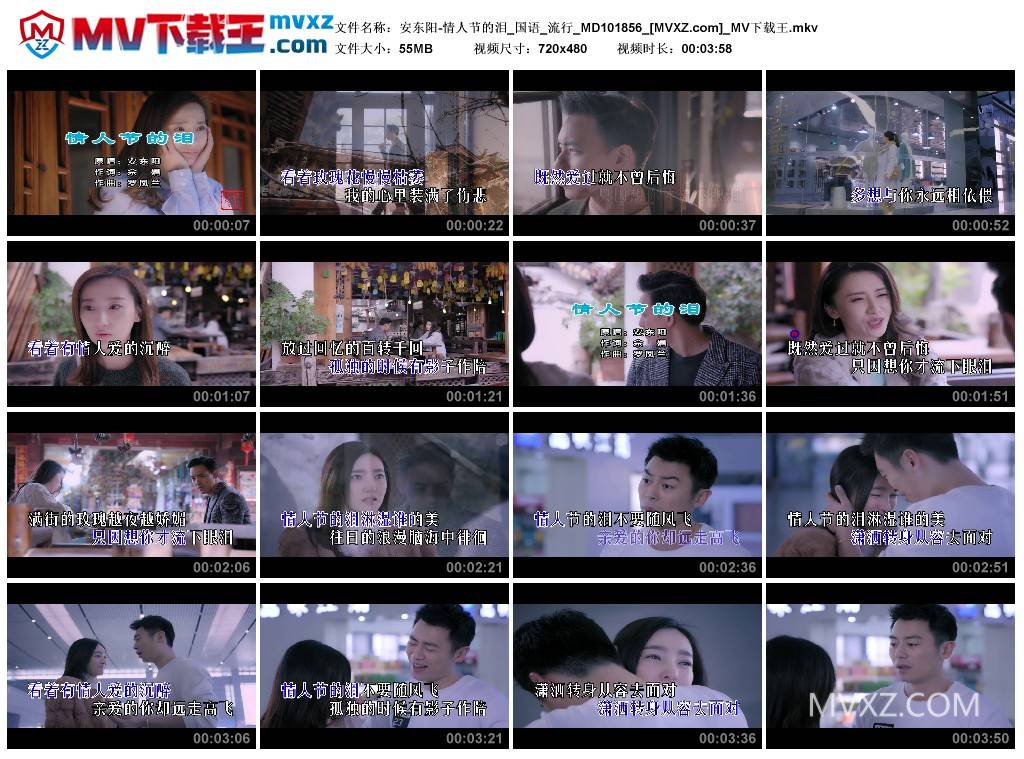 安东阳-情人节的泪_国语_流行_MD101856